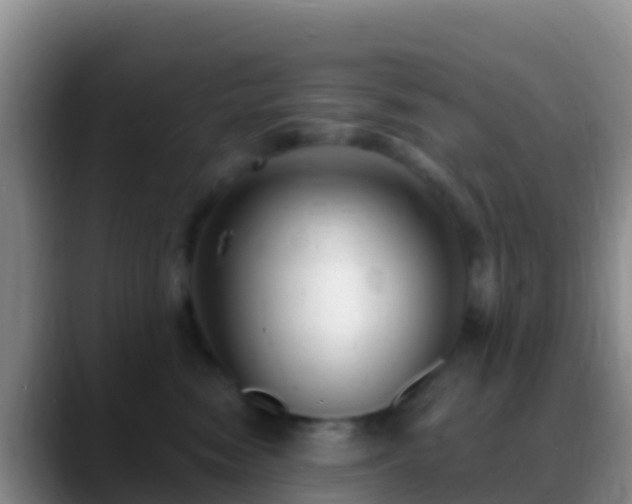 X0000088920474200706151927