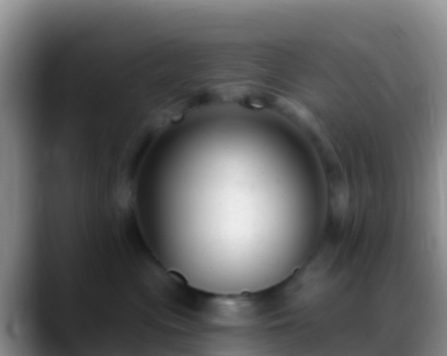 X0000088920477200706151927