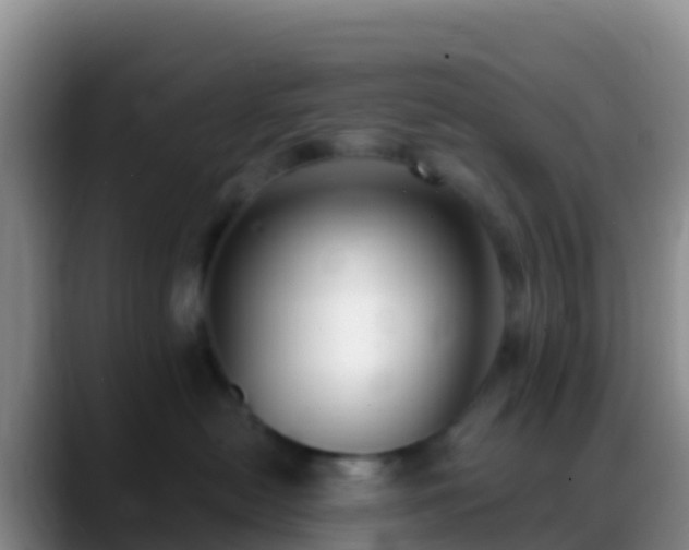 X0000088920478200706151928