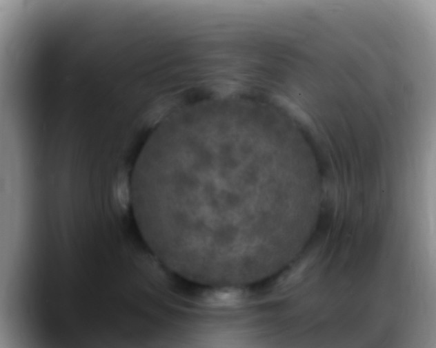 X0000088920479200706151928