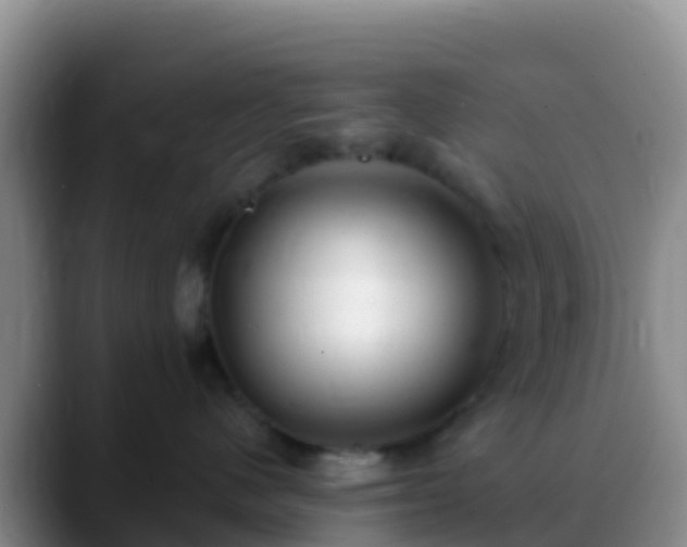 X0000088920480200706151928