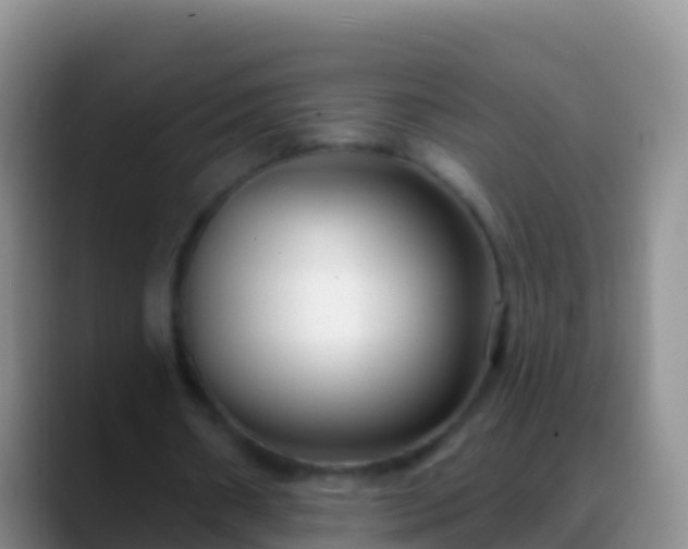 X0000088920482200706151927