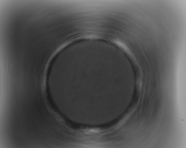 X0000088920484200706151927