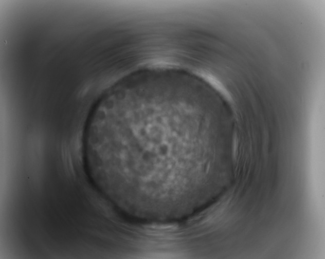 X0000088920487200706151927