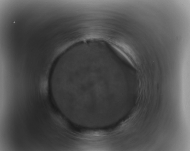 X0000088920488200706151927