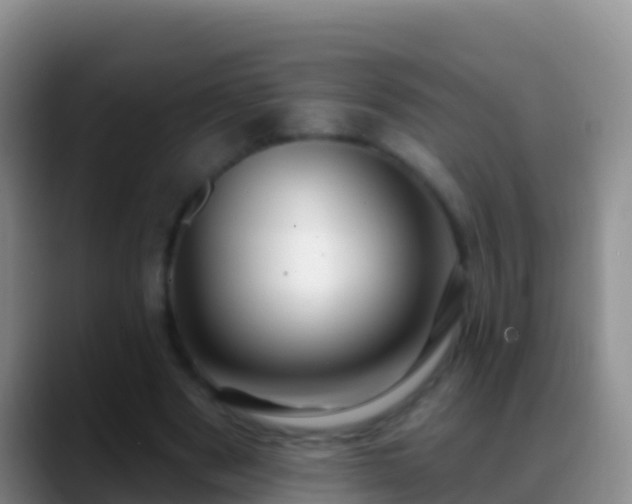 X0000088920489200706151927