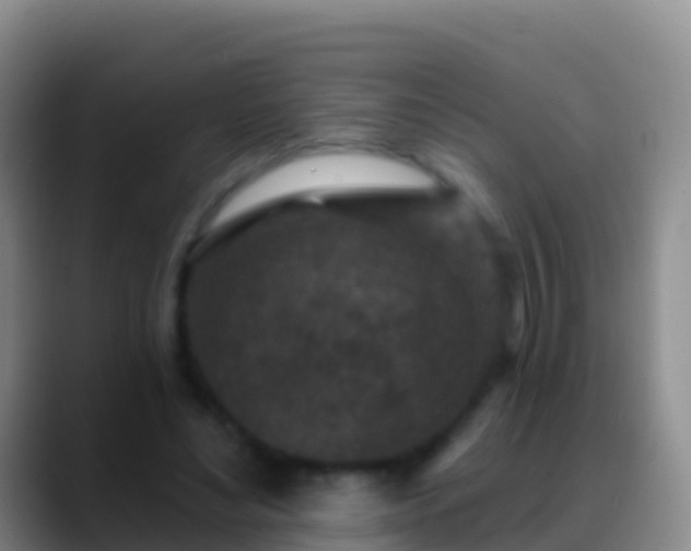 X0000088920492200706151927