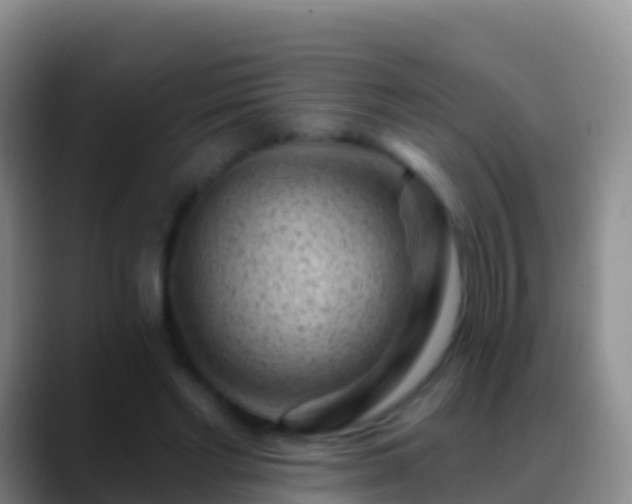 X0000088920493200706151927