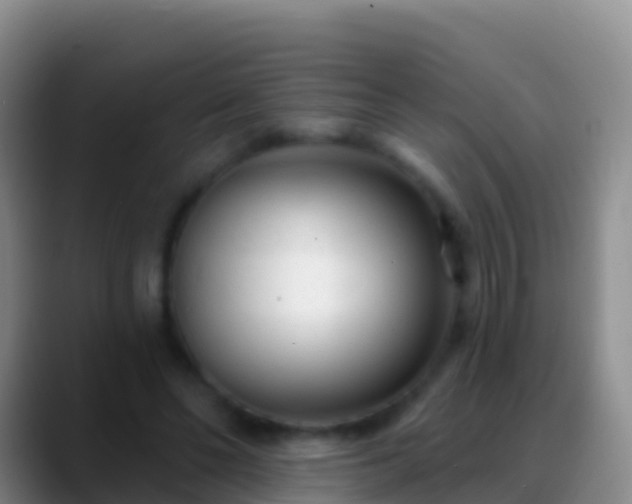 X0000088920494200706151927