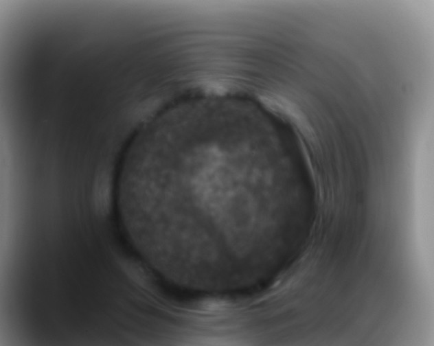 X0000088920496200706151927