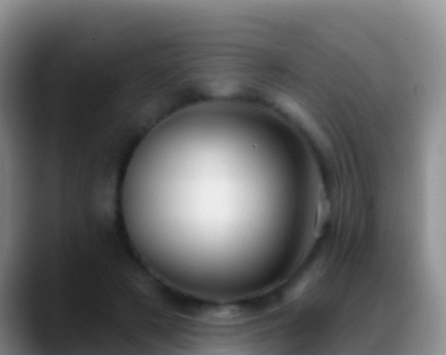 X0000088920497200706151927