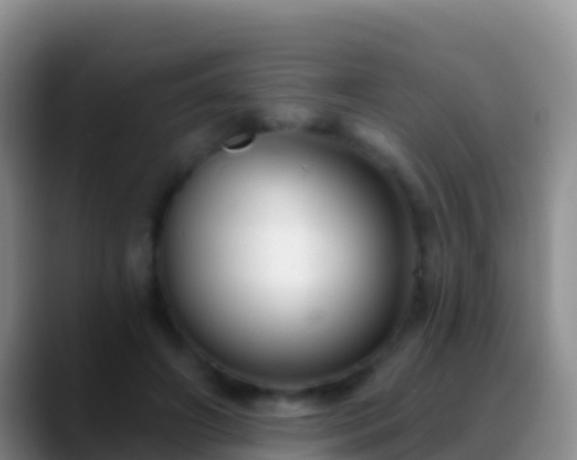 X0000088920498200706151927