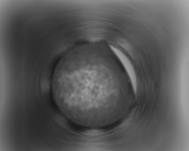 X0000088920499200706151927