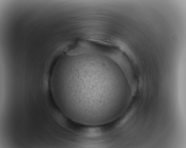 X0000088920501200706151927