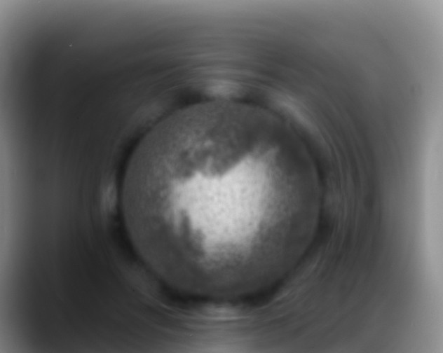 X0000088920502200706151927