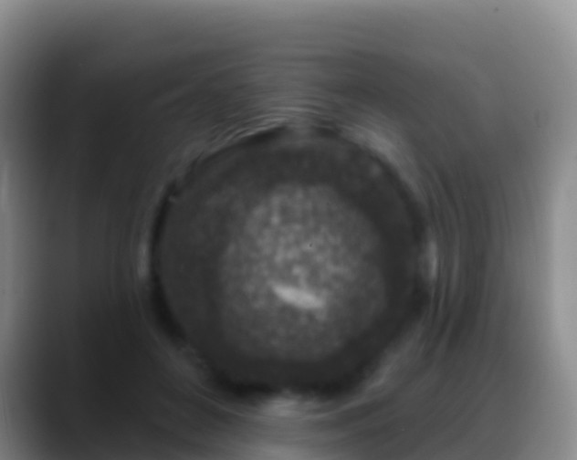 X0000088920504200706151927