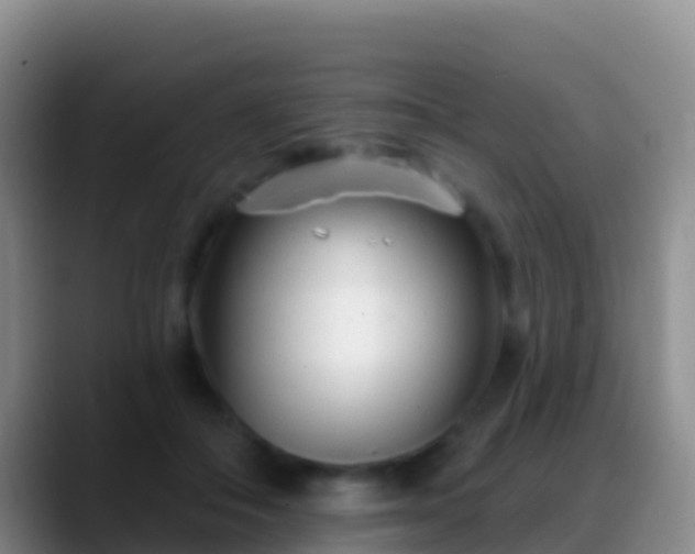 X0000088920506200706151927