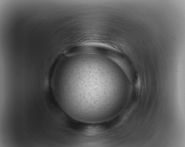 X0000088920508200706151927