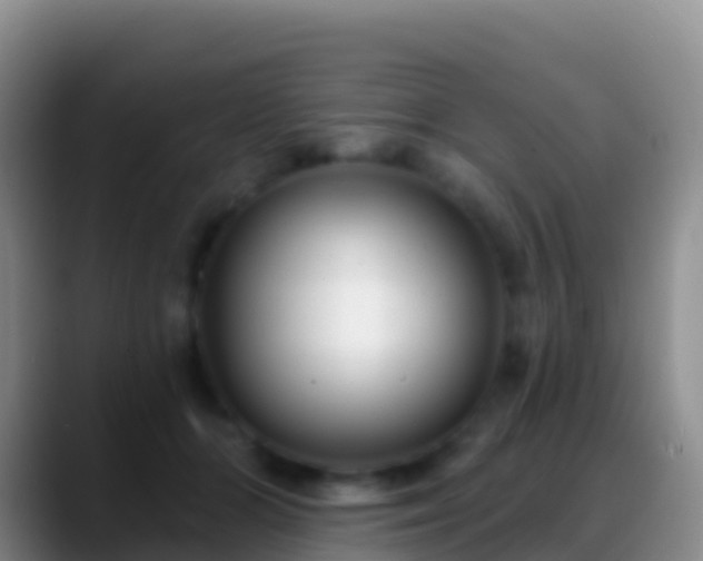 X0000088920510200706151927