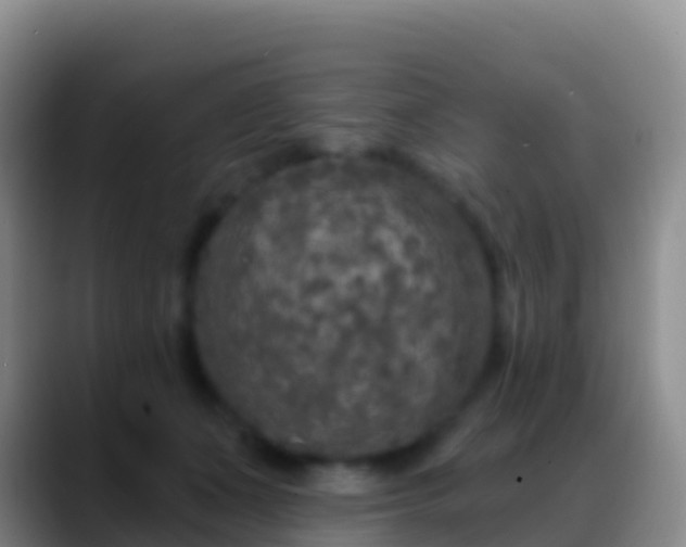 X0000088920511200706151927
