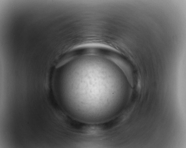 X0000088920512200706151927