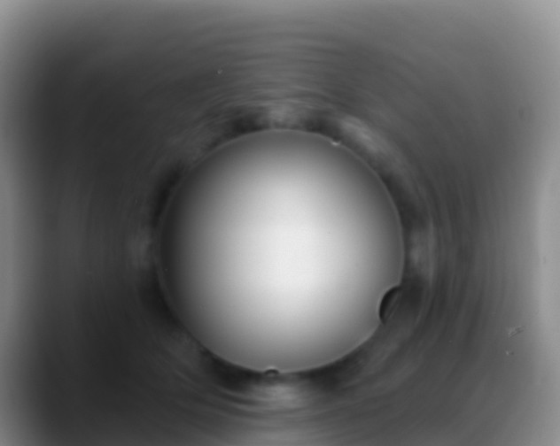 X0000088920514200706151927