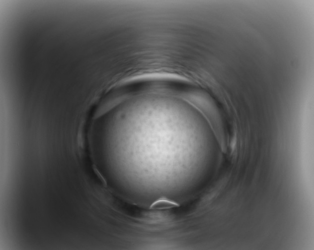 X0000088920516200706151927