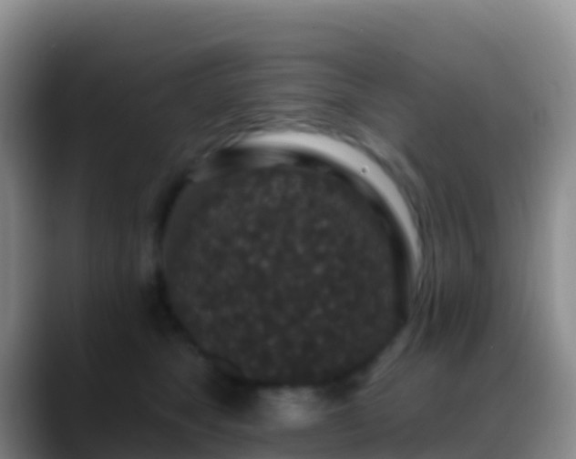 X0000088920517200706151927