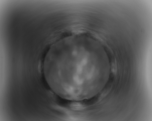 X0000088920519200706151927