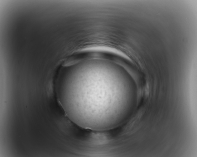 X0000088920520200706151927