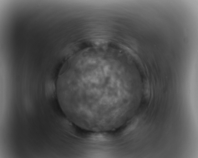 X0000088920523200706151926