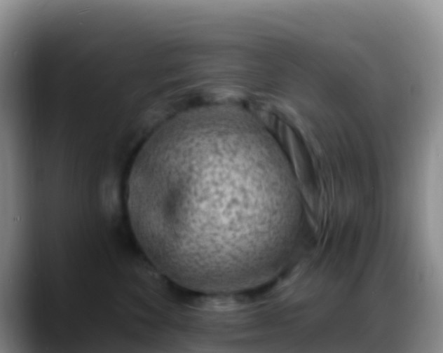X0000088920524200706151926