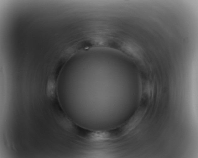 X0000088920526200706151926