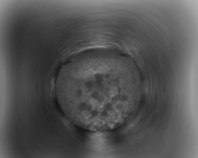 X0000088920527200706151926