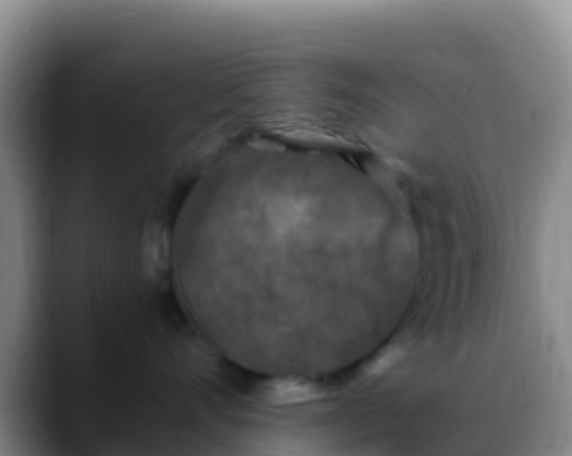 X0000088920528200706151926