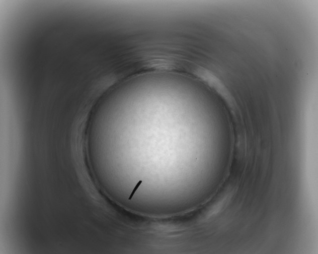 X0000088920529200706151926