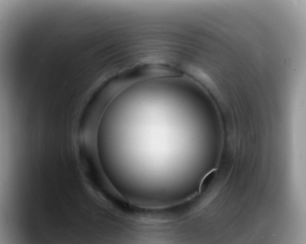 X0000088920530200706151926