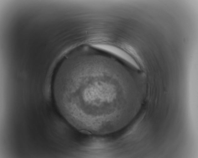 X0000088920531200706151926