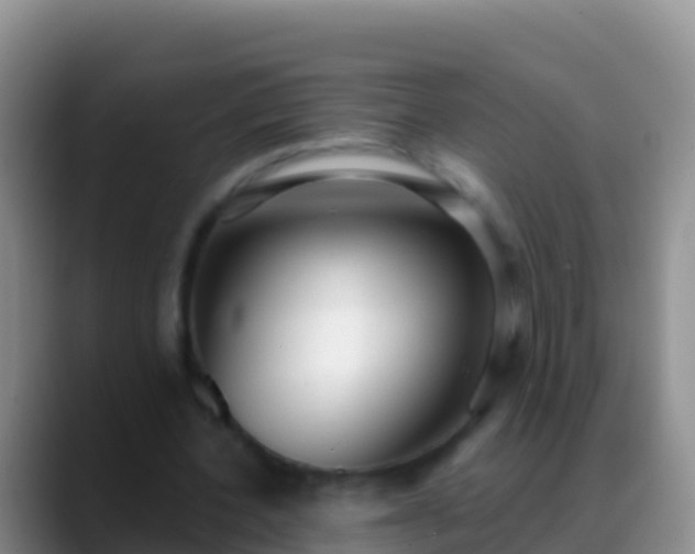 X0000088920532200706151926