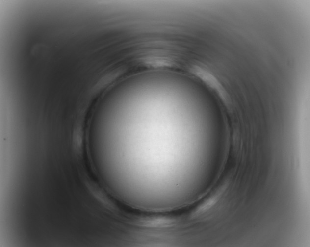 X0000088920533200706151926
