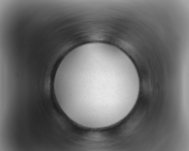 X0000088920534200706151926