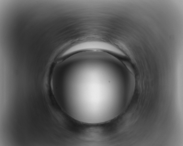 X0000088920536200706151926