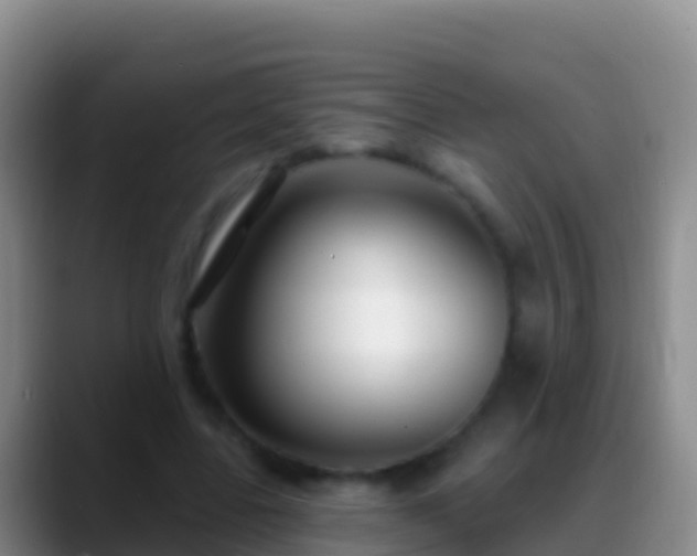 X0000088920539200706151926