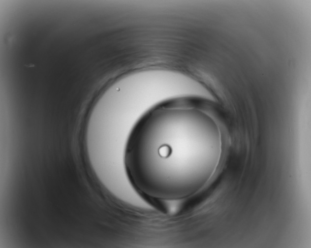 X0000088920540200706151926