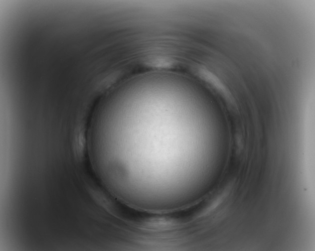 X0000088920541200706151926