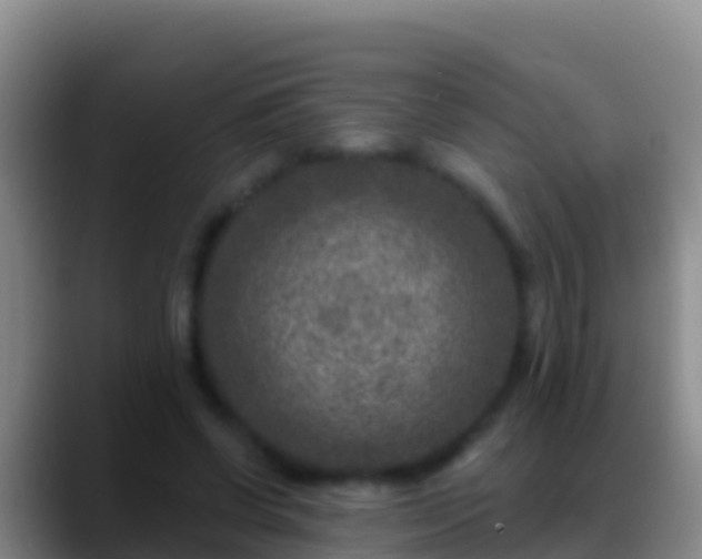 X0000088920542200706151926