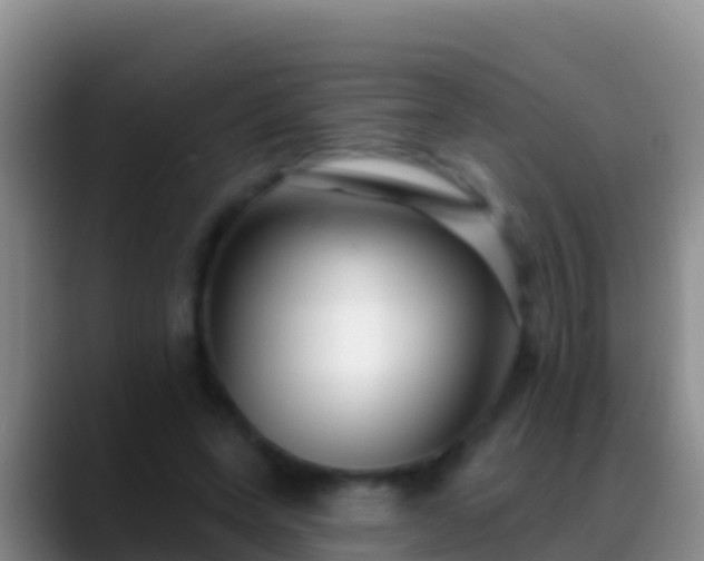 X0000088920543200706151926