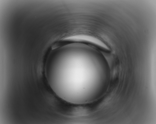 X0000088920544200706151926