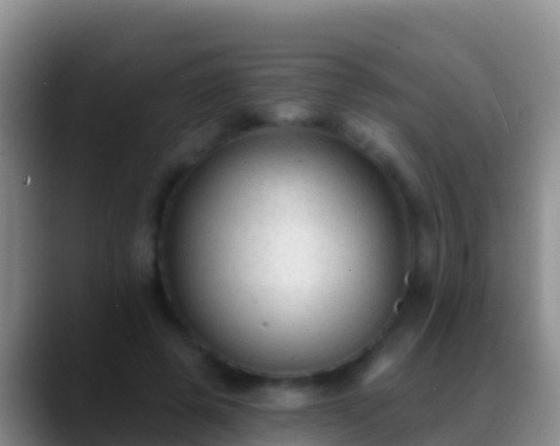X0000088920545200706151926
