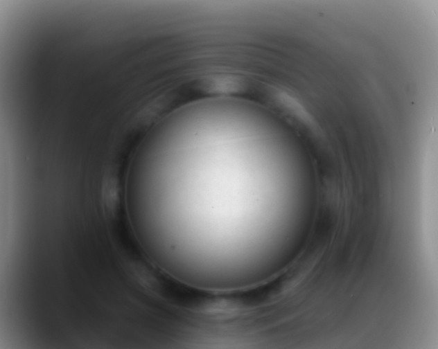 X0000088920549200706151926